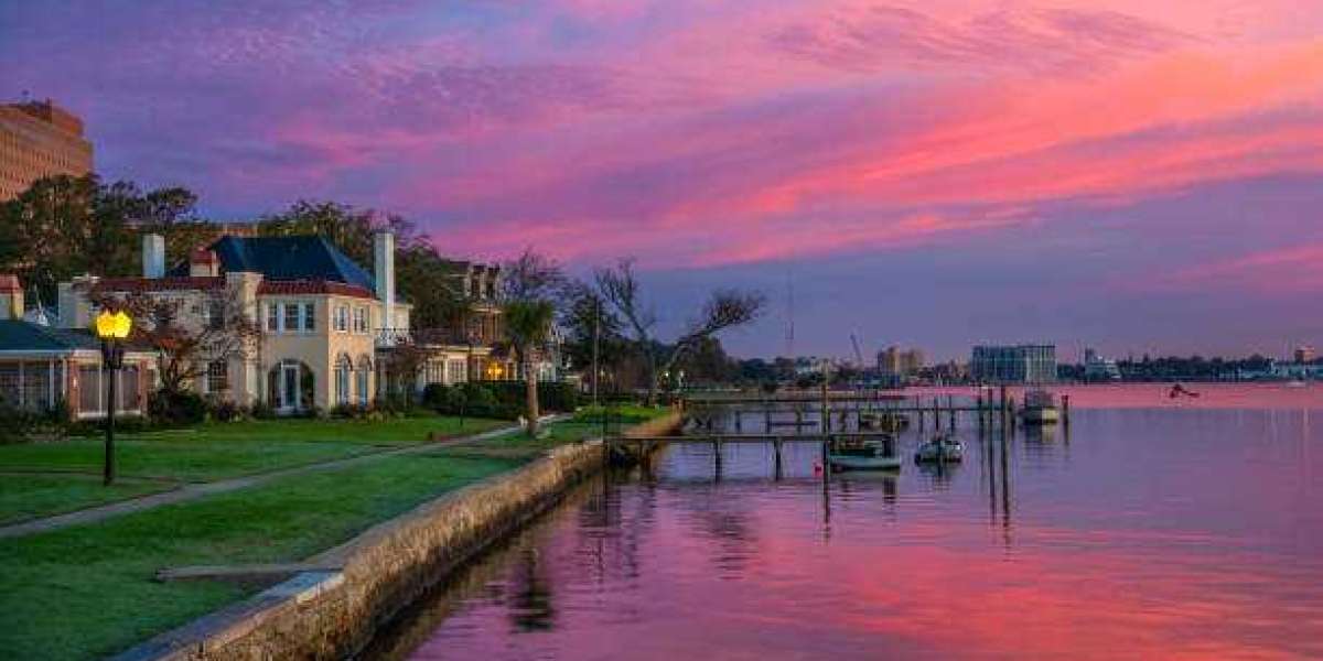 Top Virginia Beach Real Estate Agents: Your Complete Guide to Choosing the Right Expert