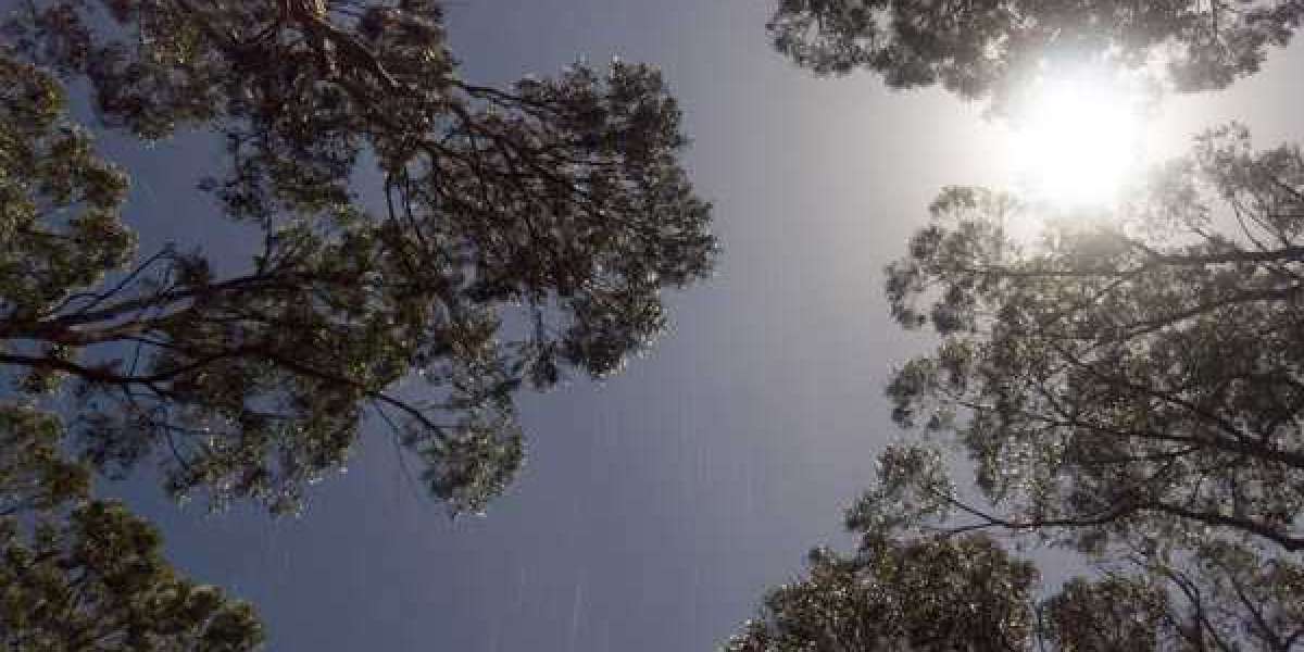 Star Entertainment receives $53 million lifeline