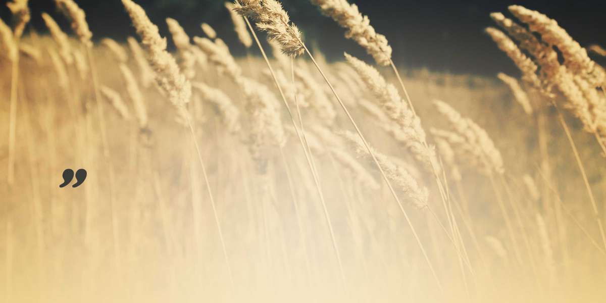 Observational Insights Into IRA Gold Investment Developments