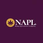 NAP Limited Profile Picture