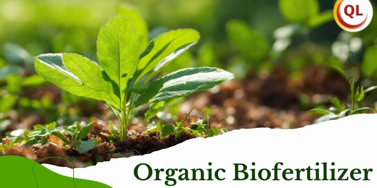 Organic Biofertilizer: The Eco-Friendly Alternative to Chemical Fertilizers