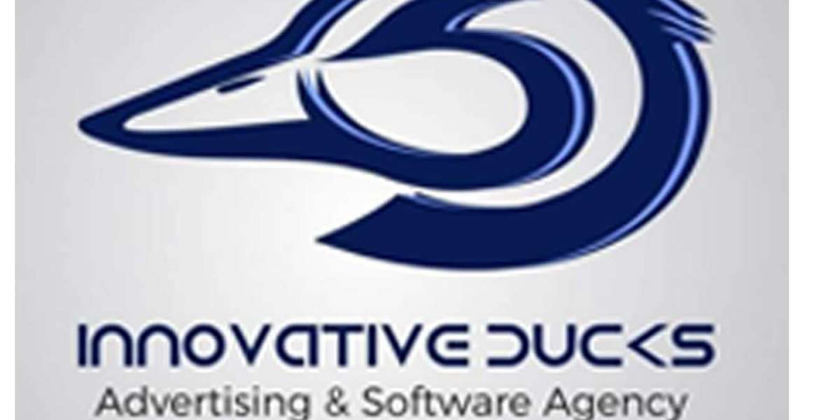 The Role of an SEO Expert in Pakistan for Modern Businesses