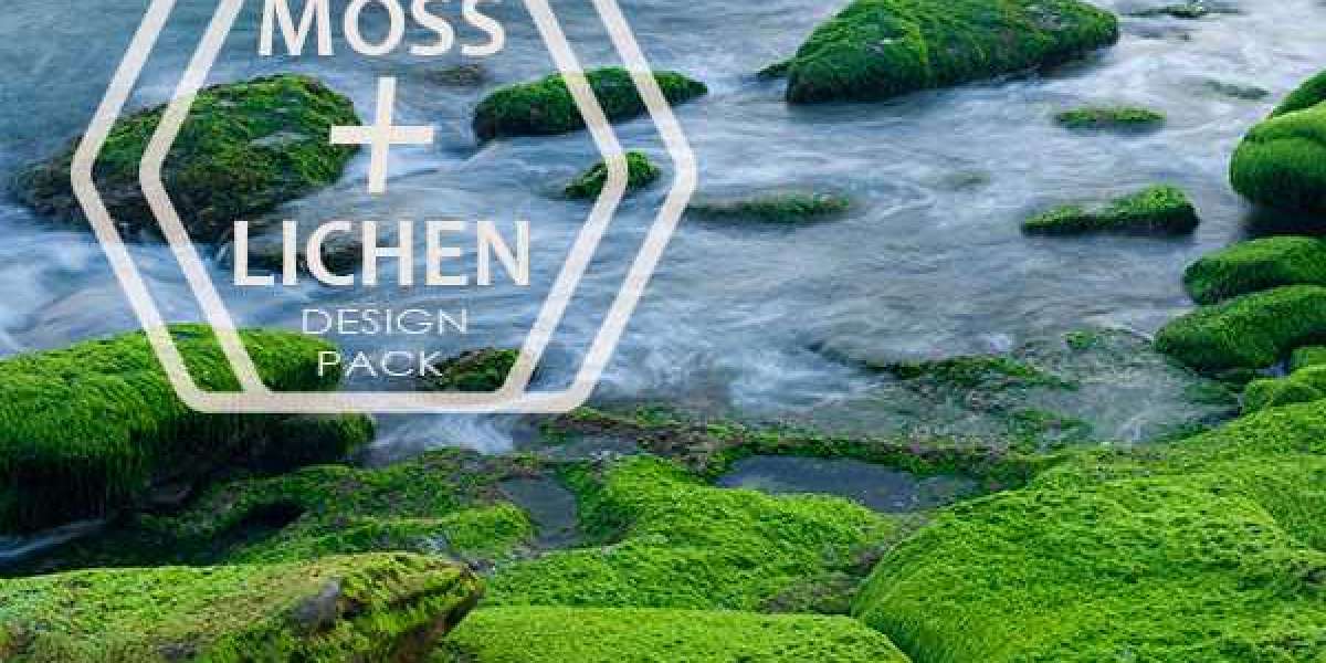 Blast Off to Epic Wins!