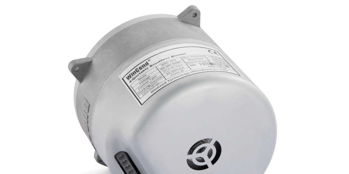 Advanced AC Variable Frequency Air Pump for Precise Airflow Regulation